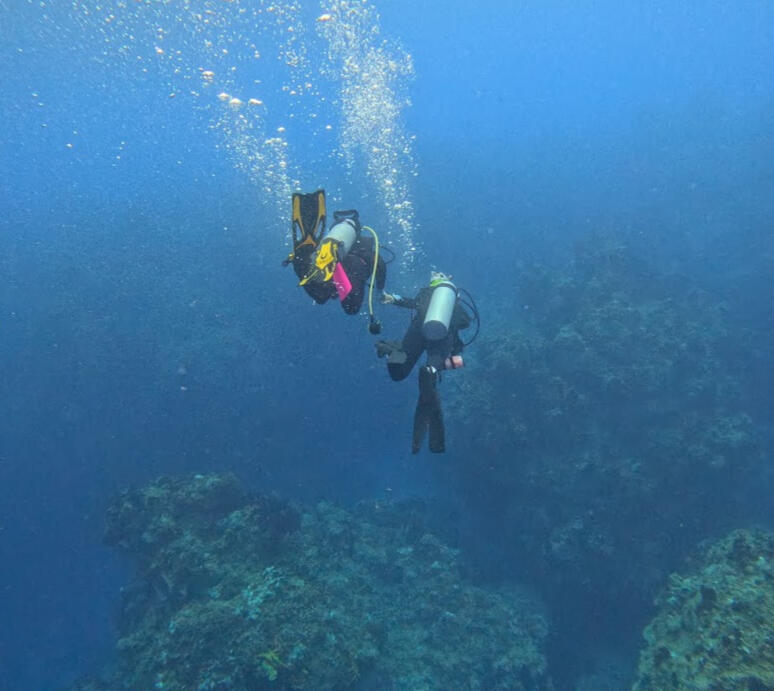 Diving into the Work